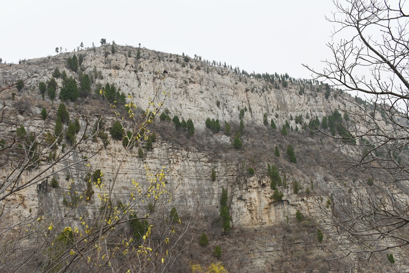 DSC_7053.jpg