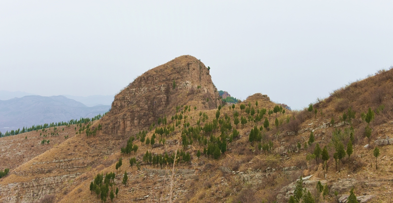 DSC_7075.jpg