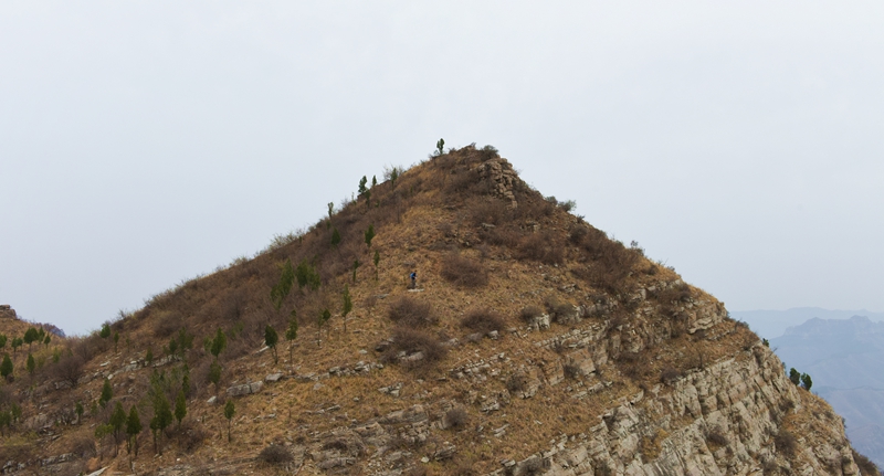 DSC_7076.jpg
