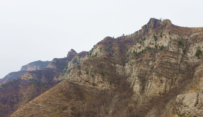 DSC_7089.jpg