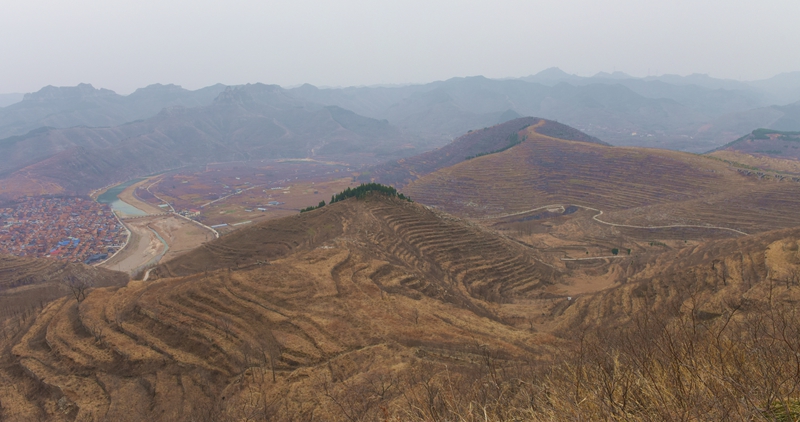 DSC_7092.jpg