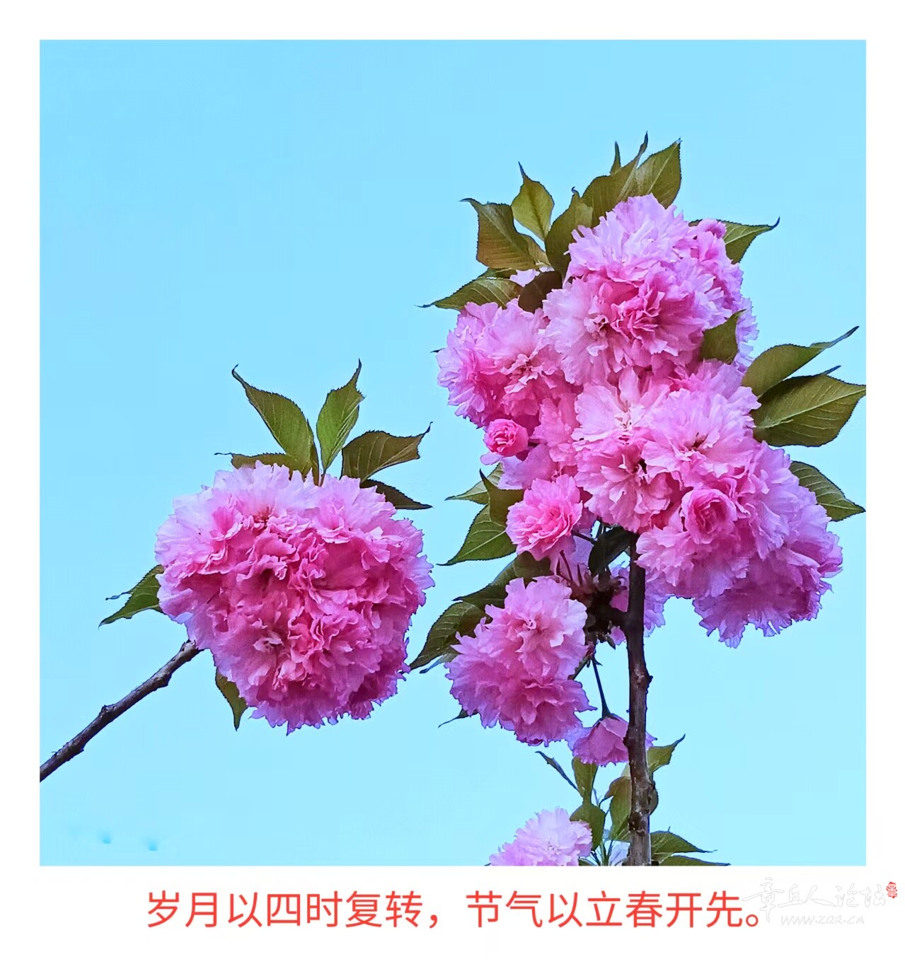 微信图片_20250326205221.jpg