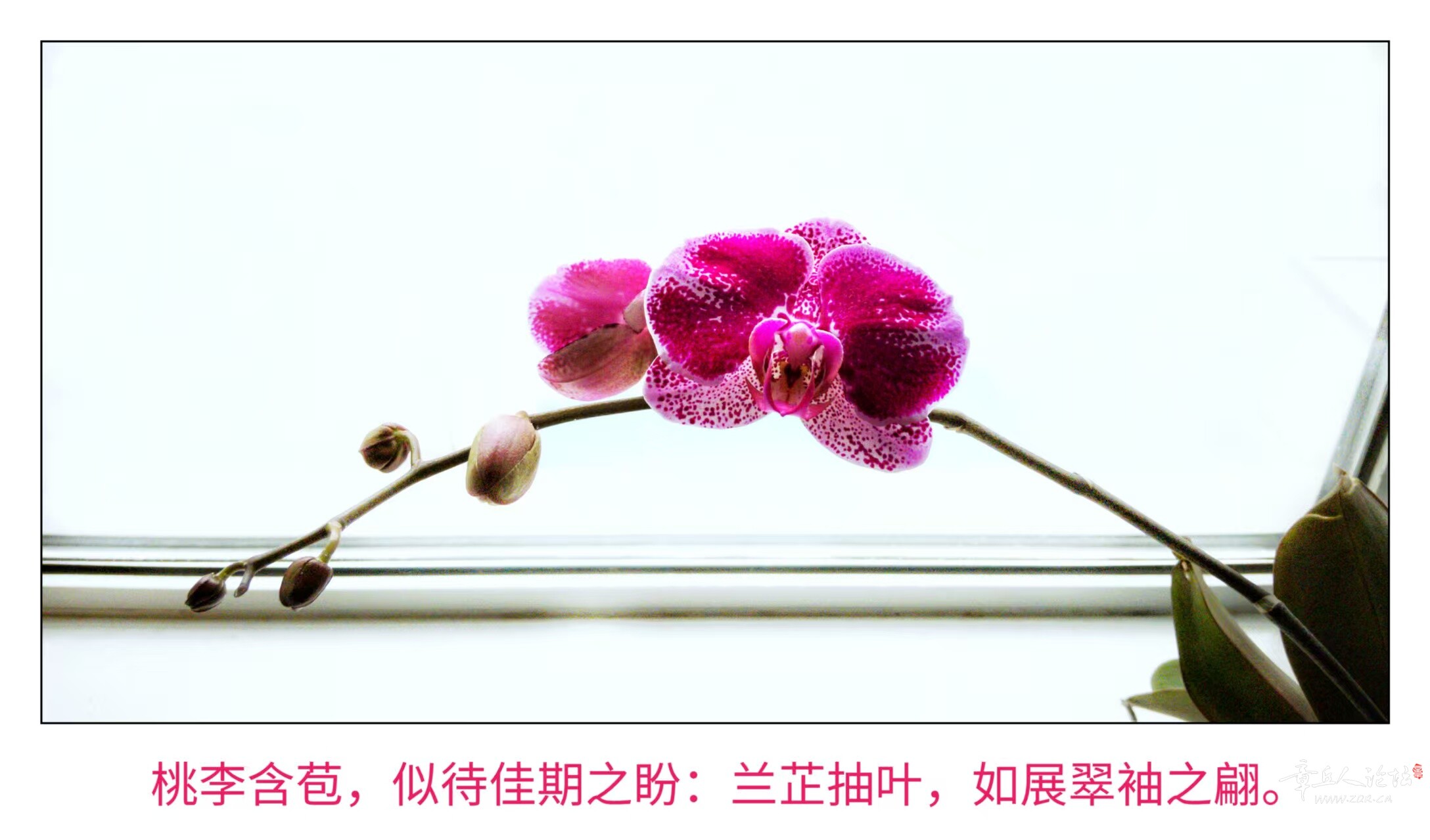 微信图片_20250326205210.jpg