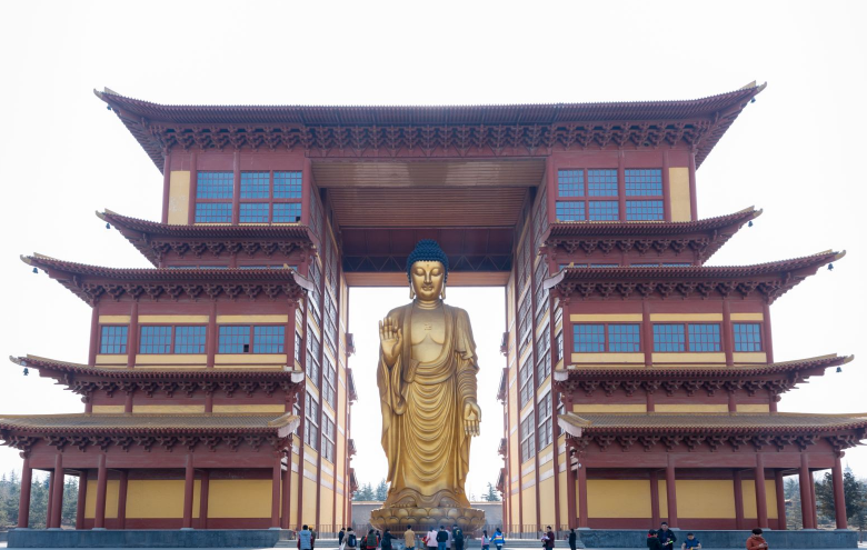 171309psd6ooqqd181o11e.png