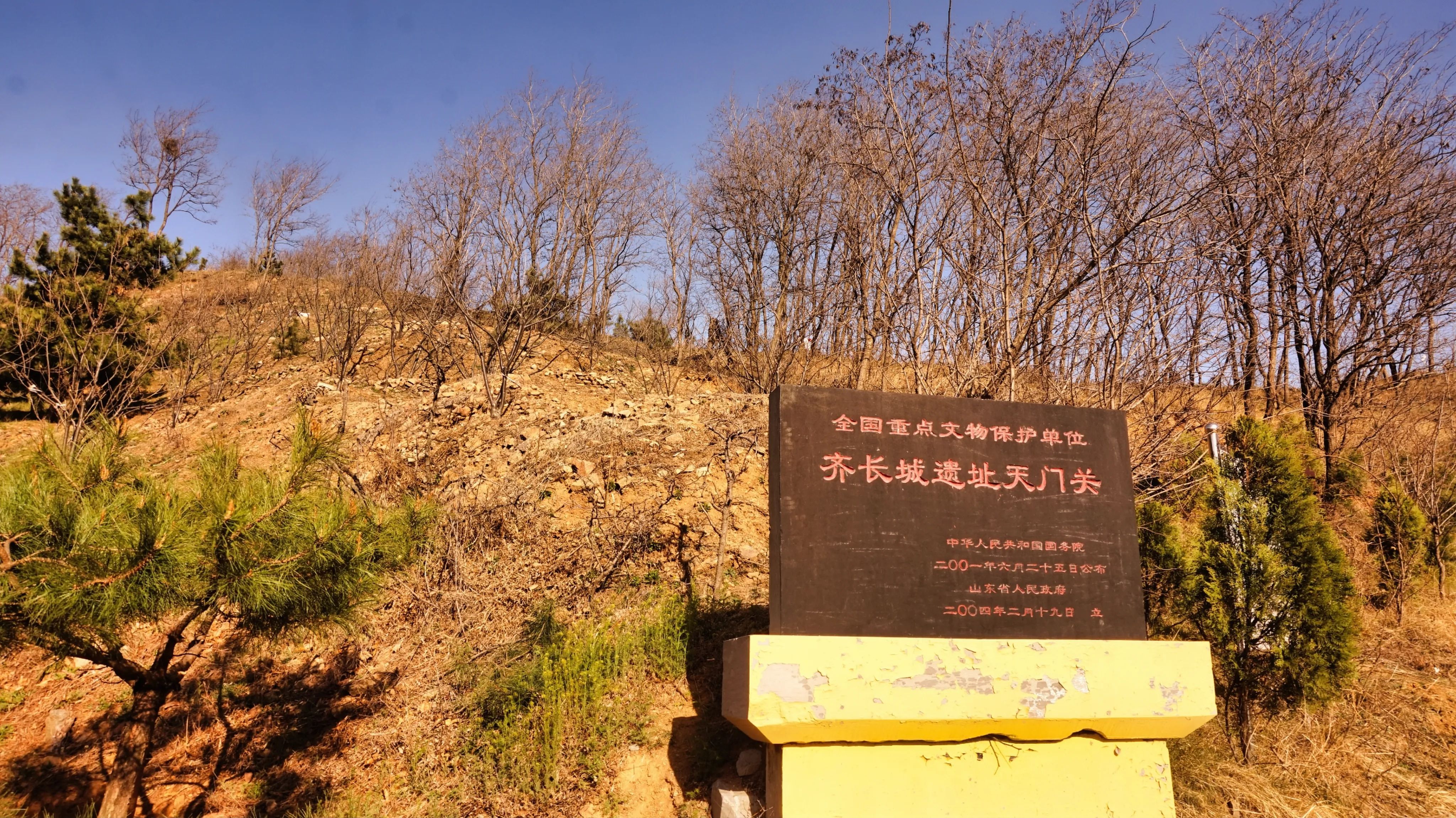 微信图片_20250406173731.jpg