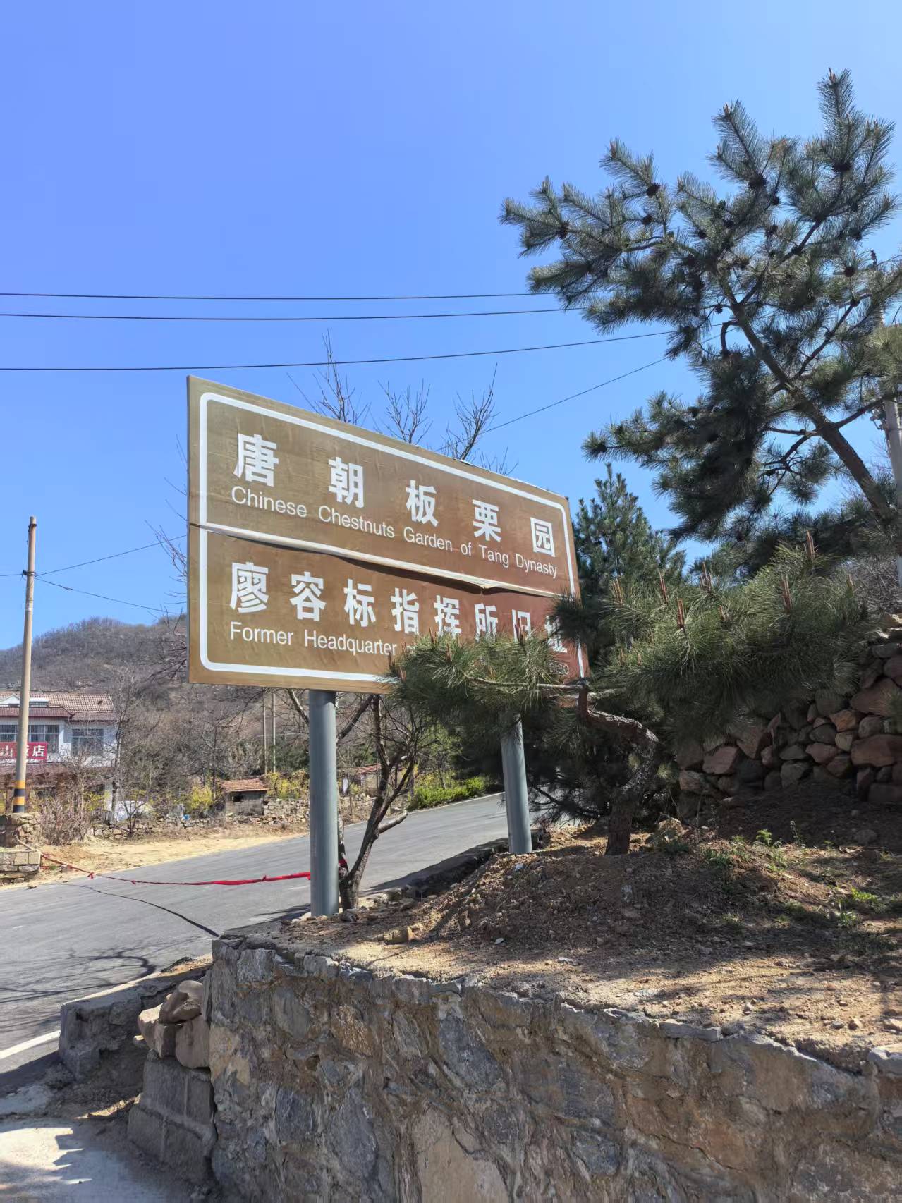 微信图片_20250406171132.jpg