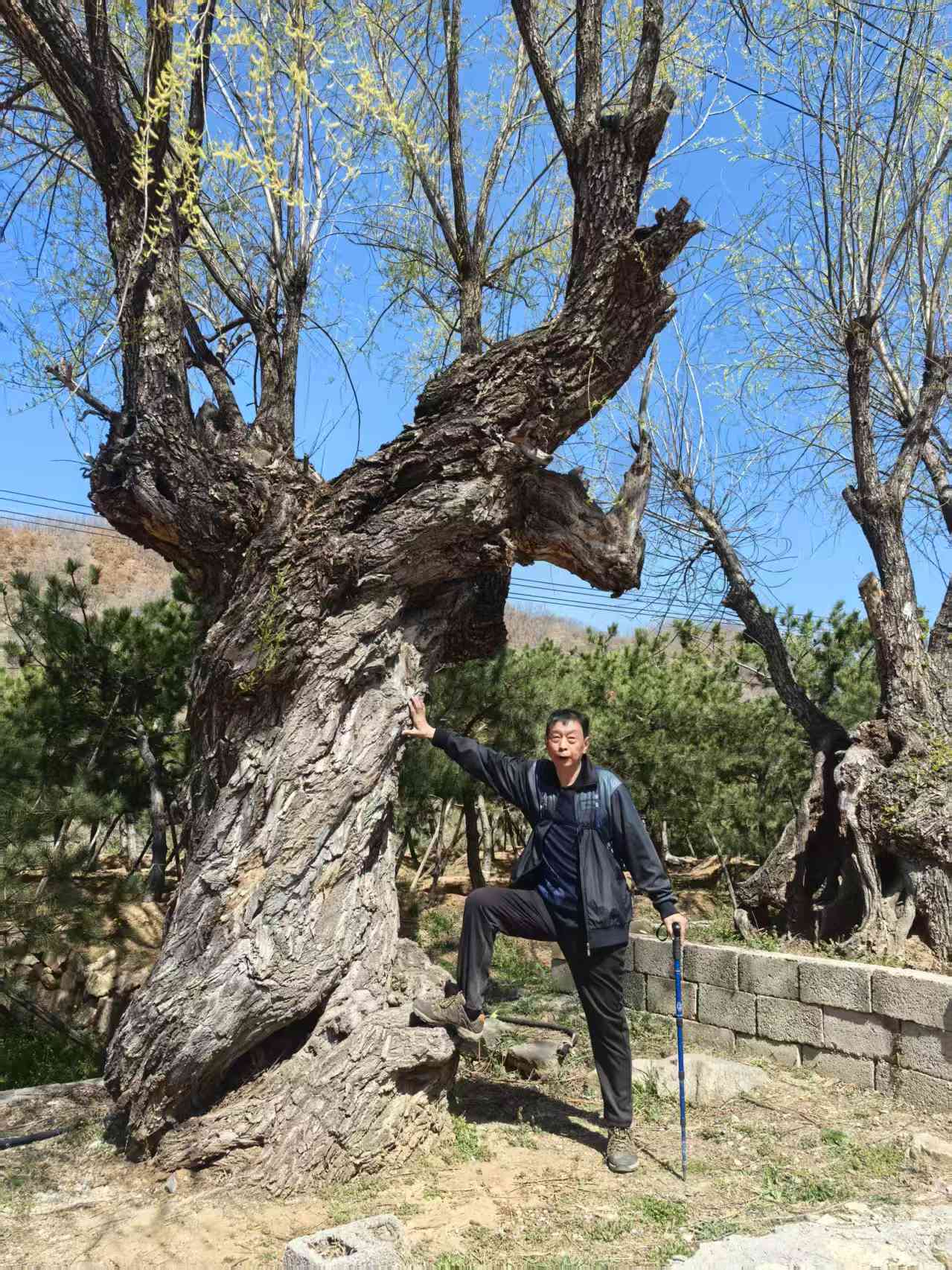 微信图片_20250406171147.jpg