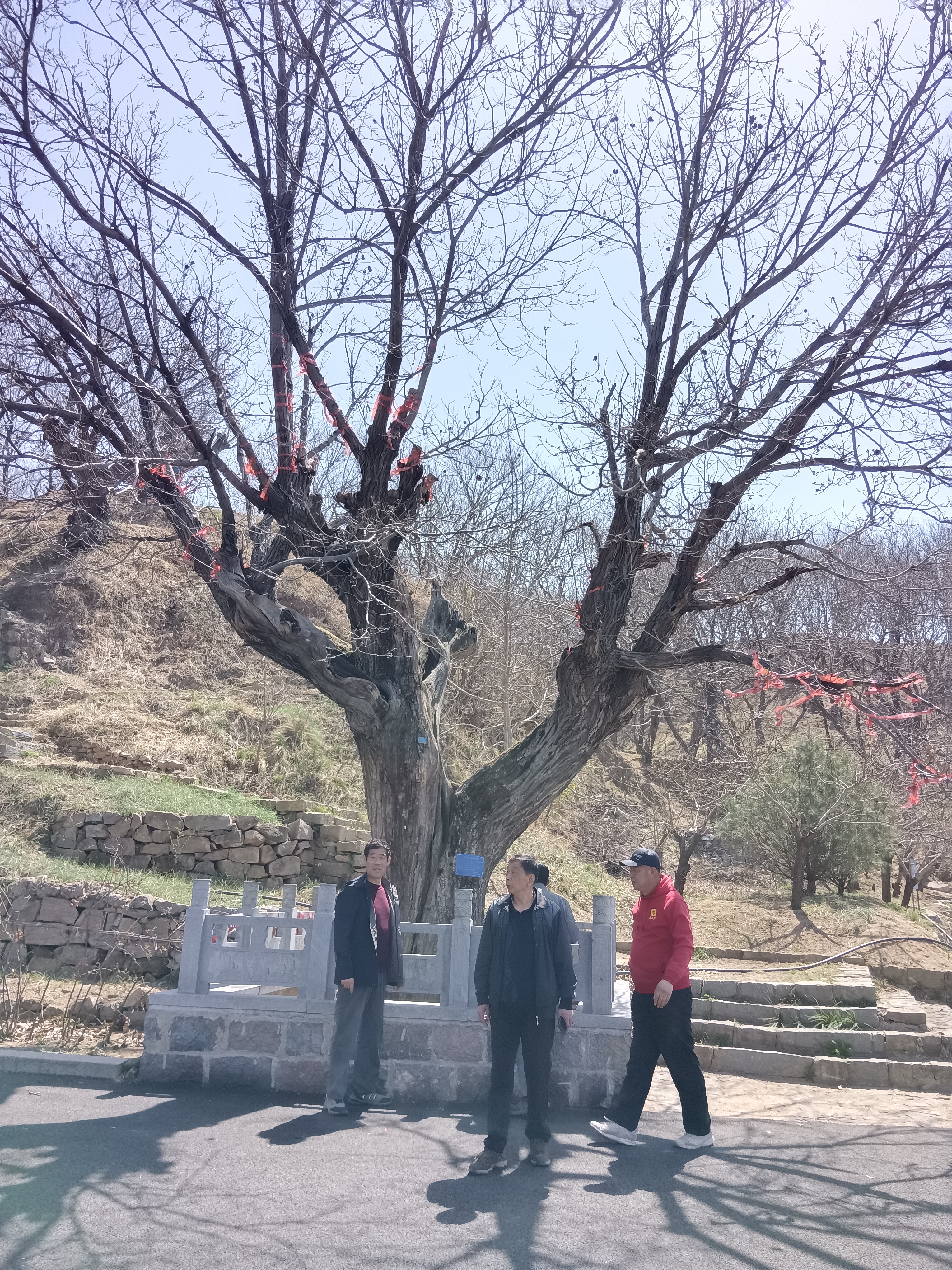 微信图片_20250406171713.jpg