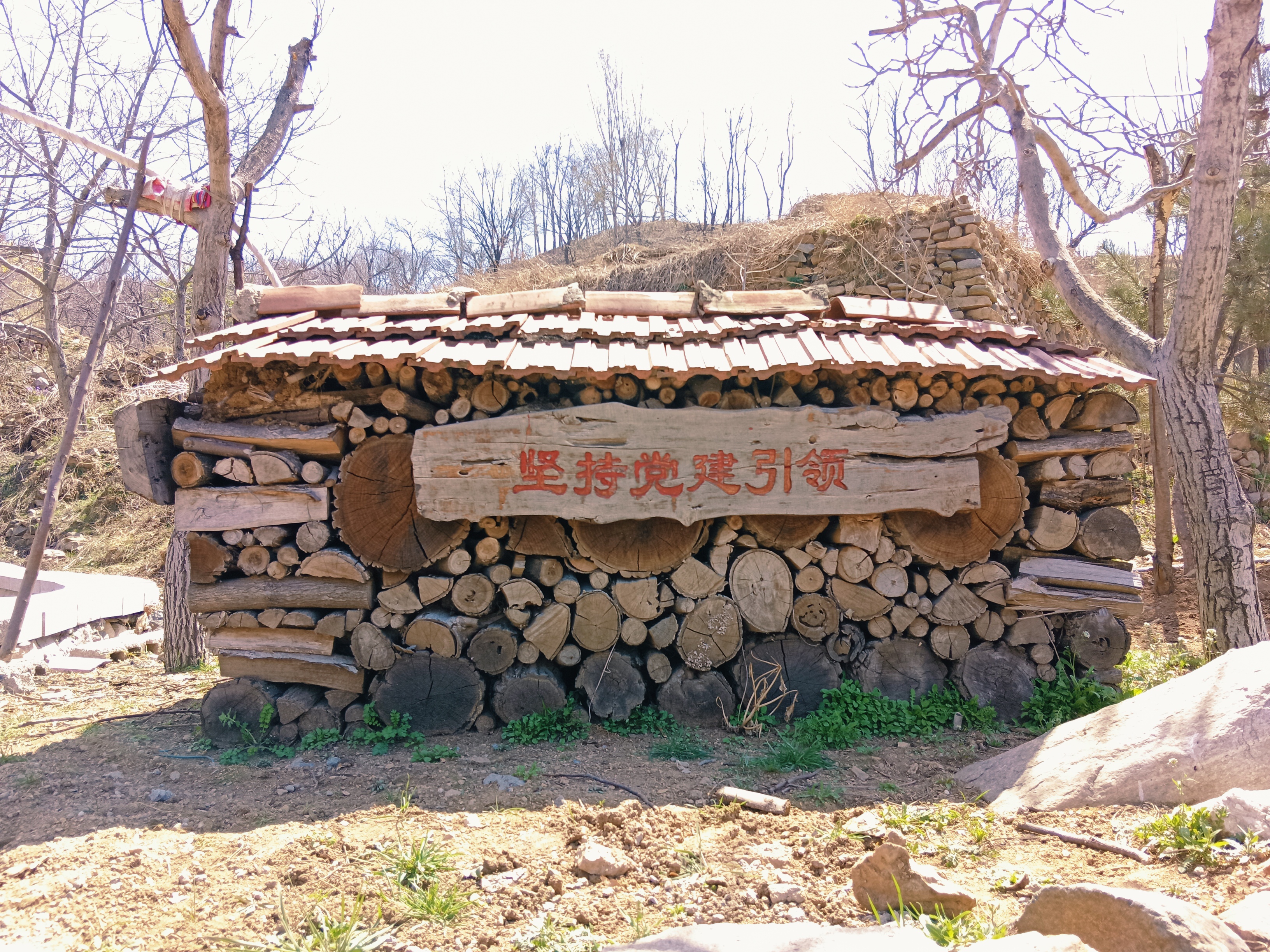 微信图片_20250406172817.jpg