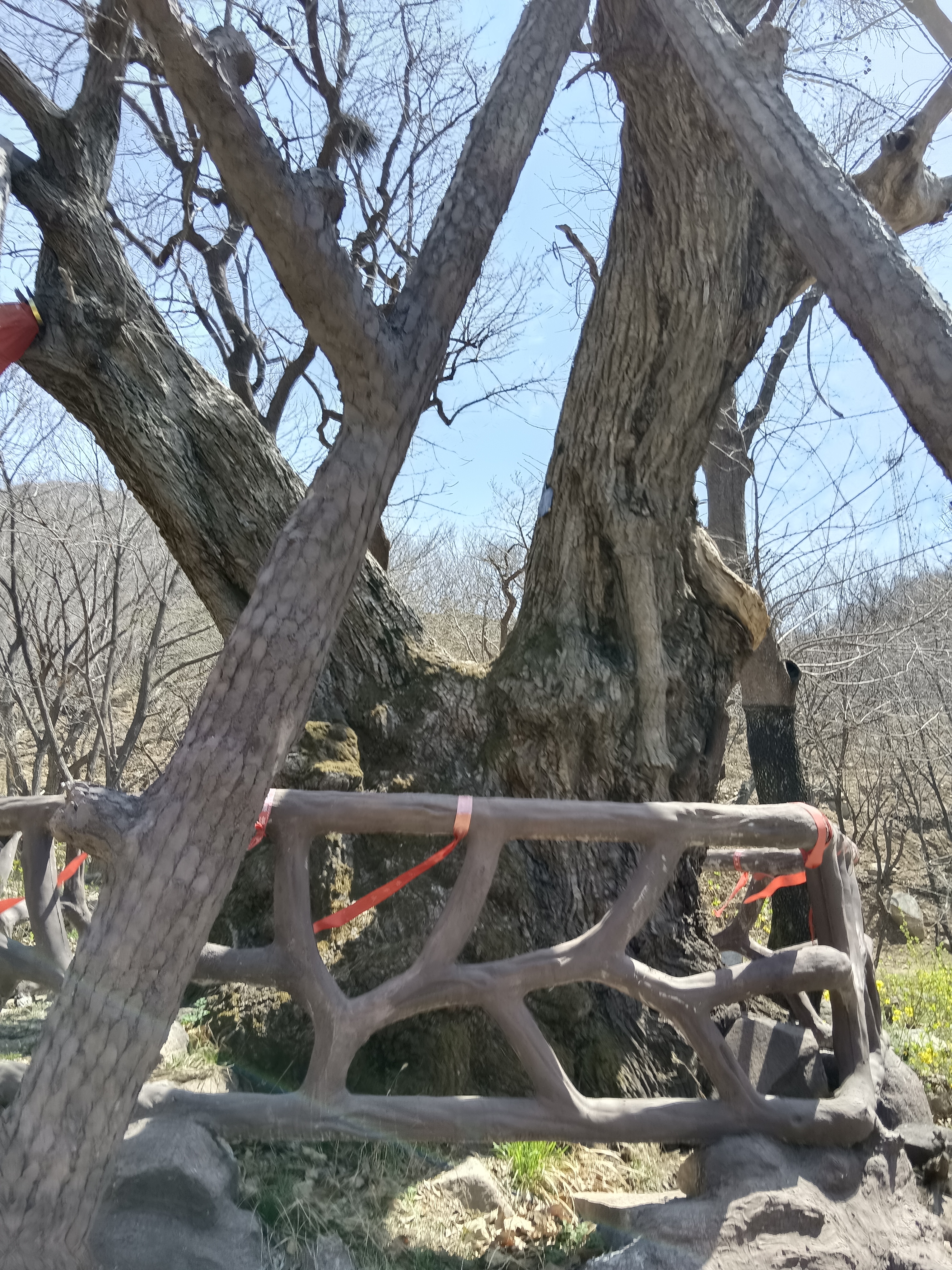 微信图片_20250406172927.jpg