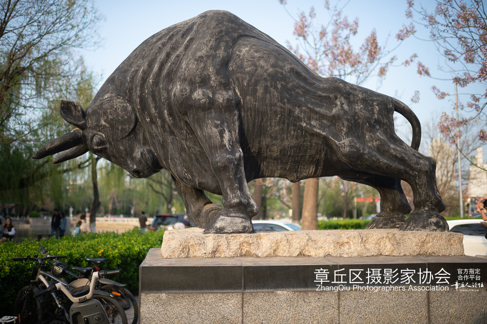 未命名-19.jpg