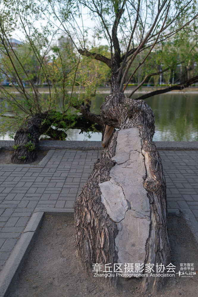 未命名-18.jpg
