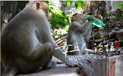 搜狗高速浏览器截图20250416152457.png