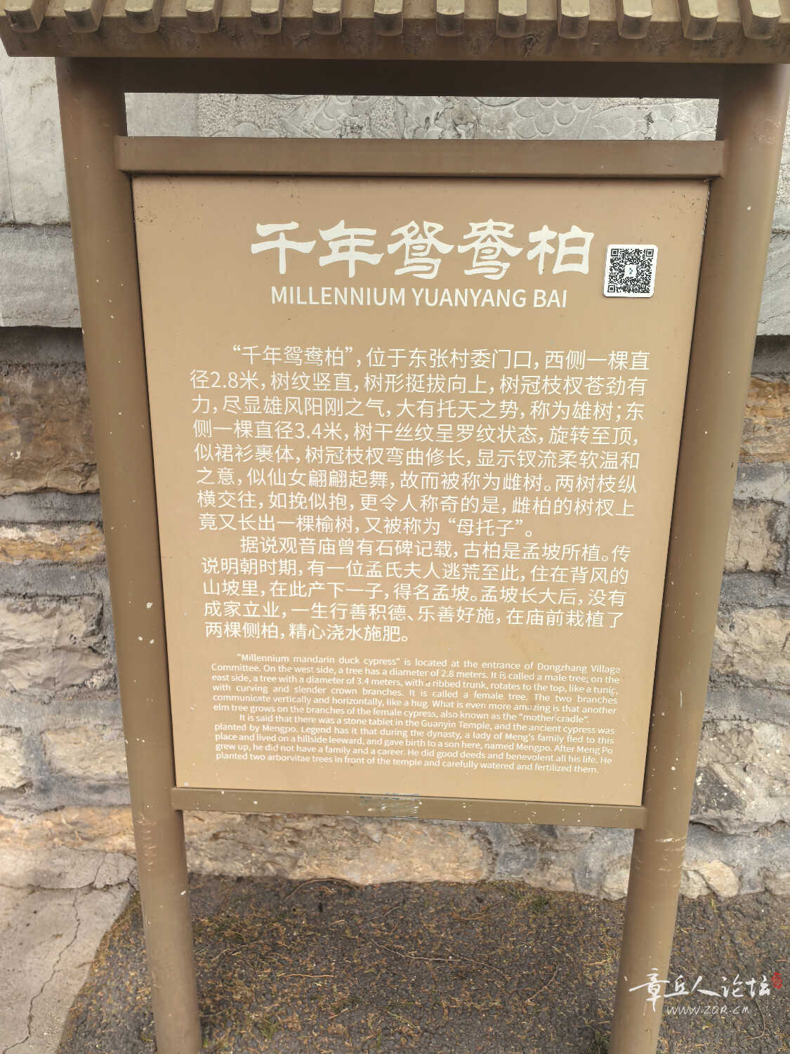 IMG_20250418_112421.jpg