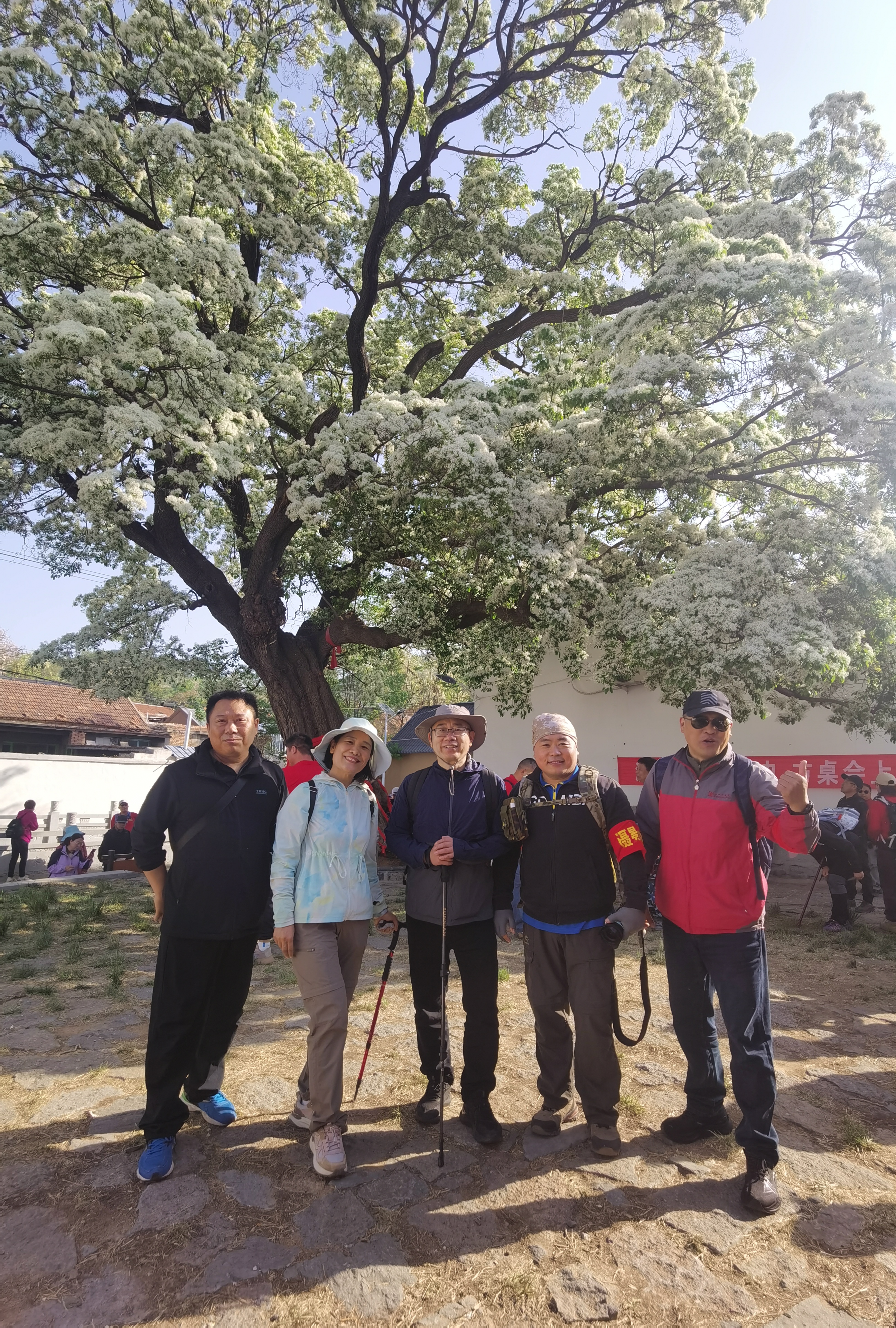 微信图片_20250427135601.jpg