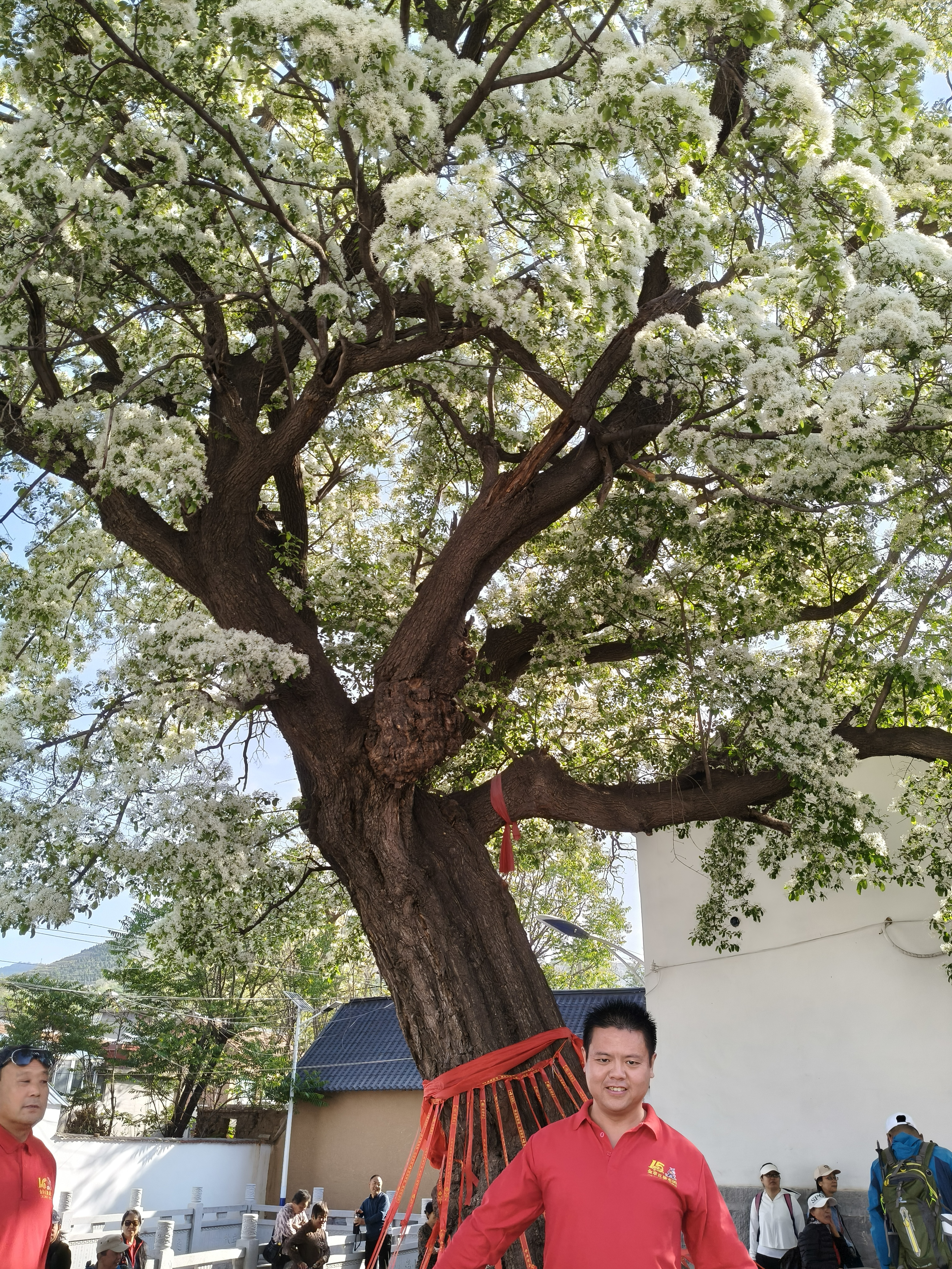 微信图片_20250427140505.jpg