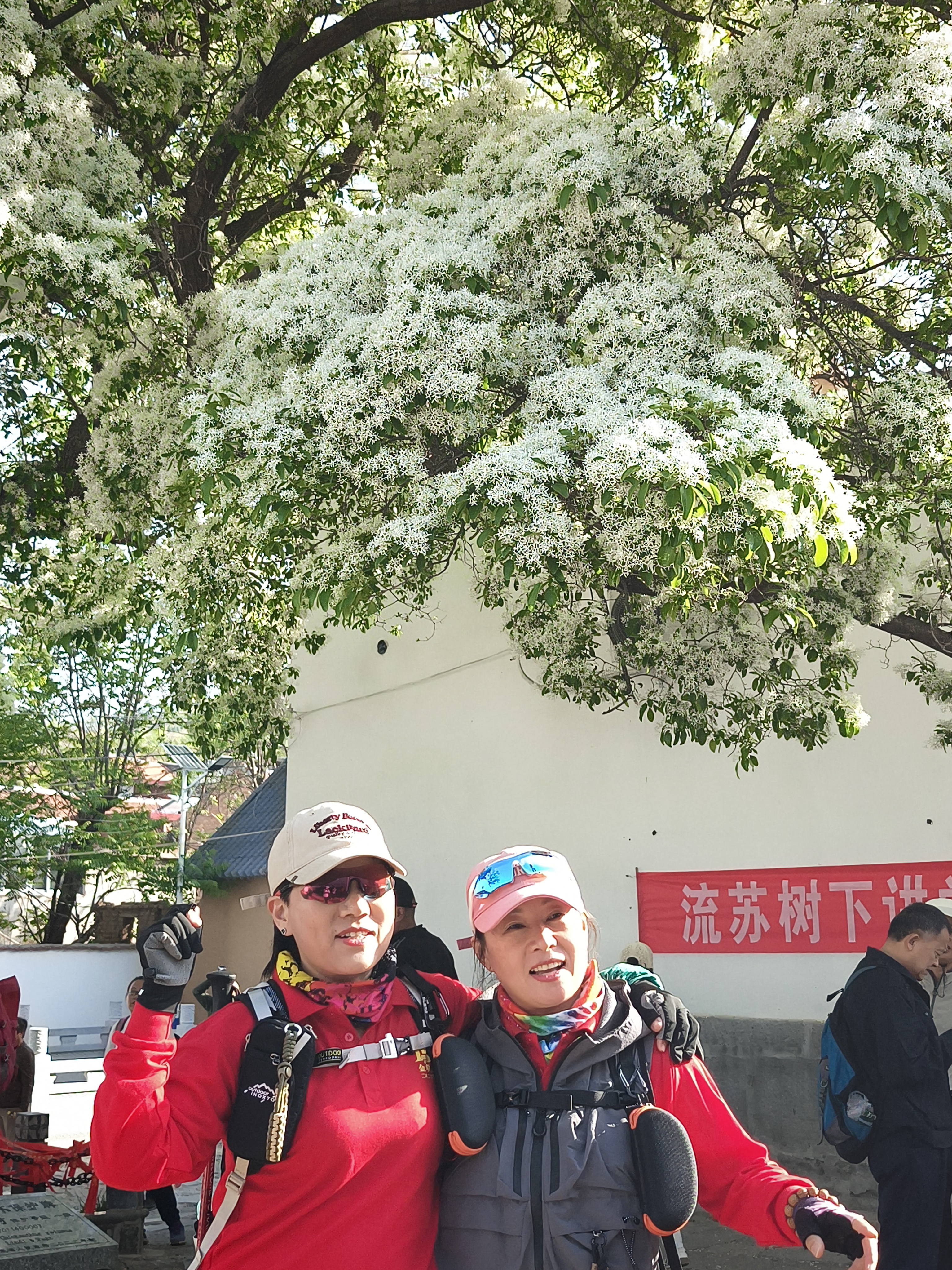 微信图片_20250427141519.jpg