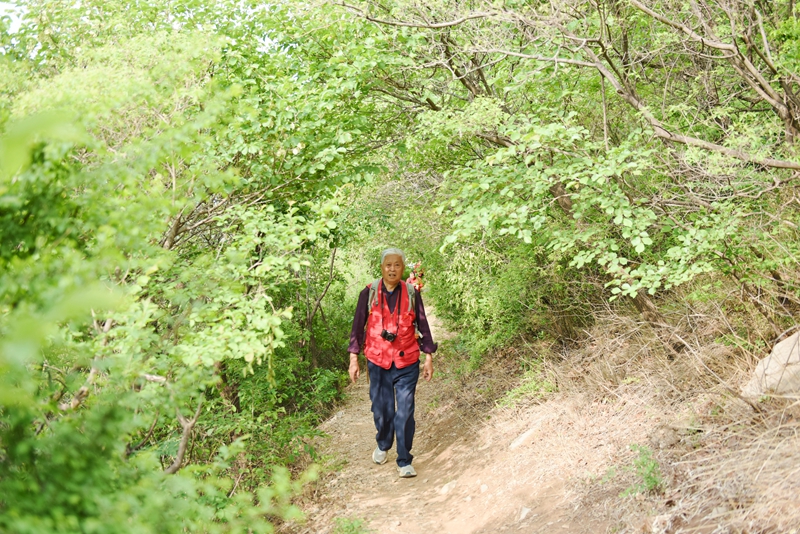 DSC_8290.jpg
