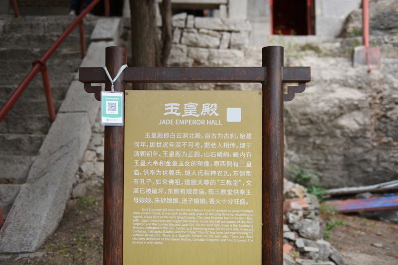DSC_8312.jpg