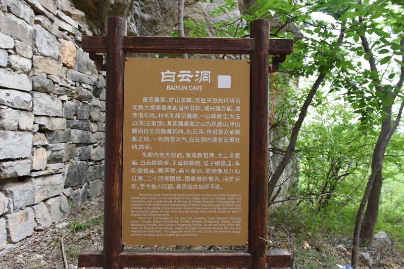 DSC_8319.jpg