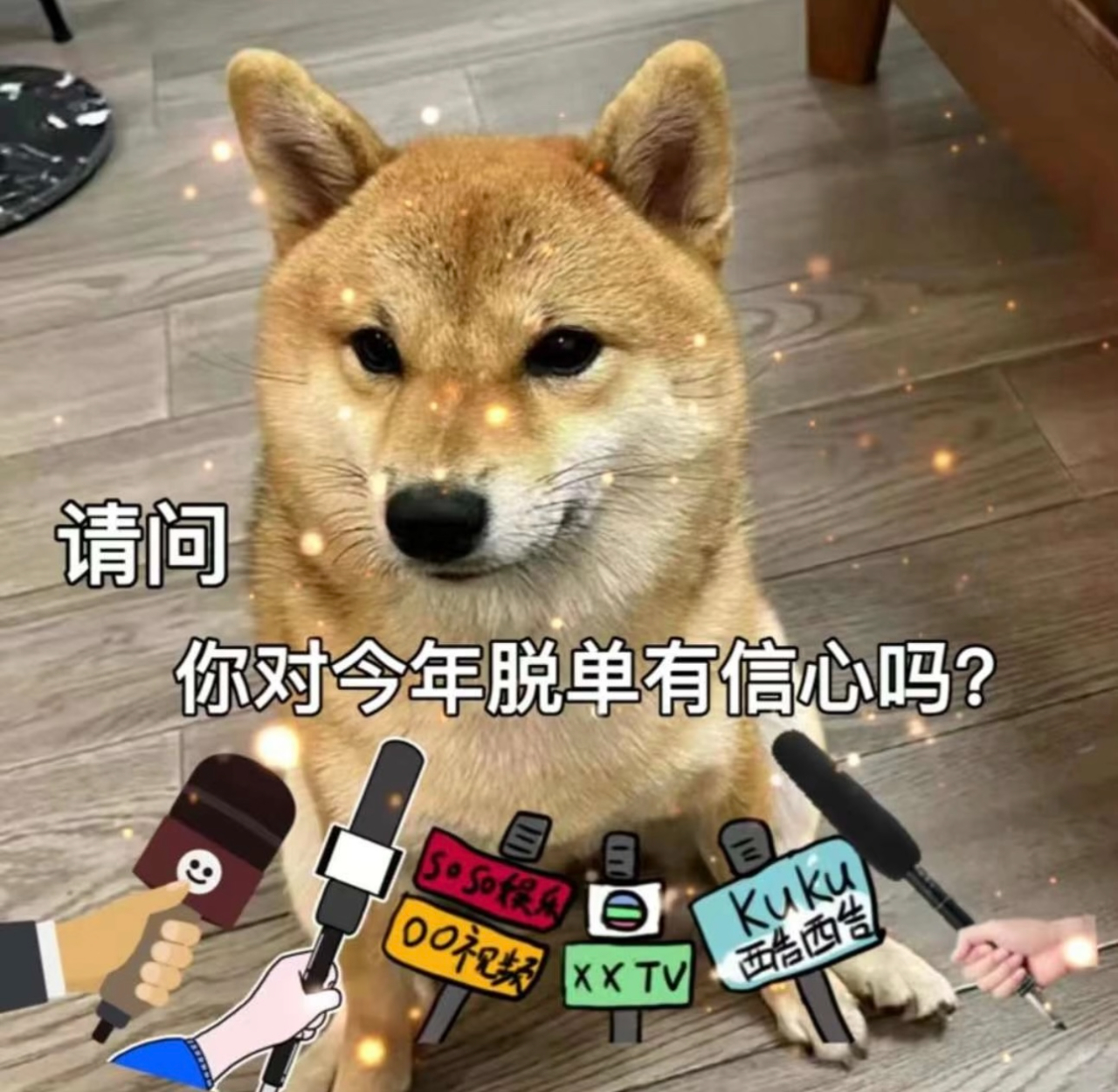 175337wt10277b77ut76ba.jpeg