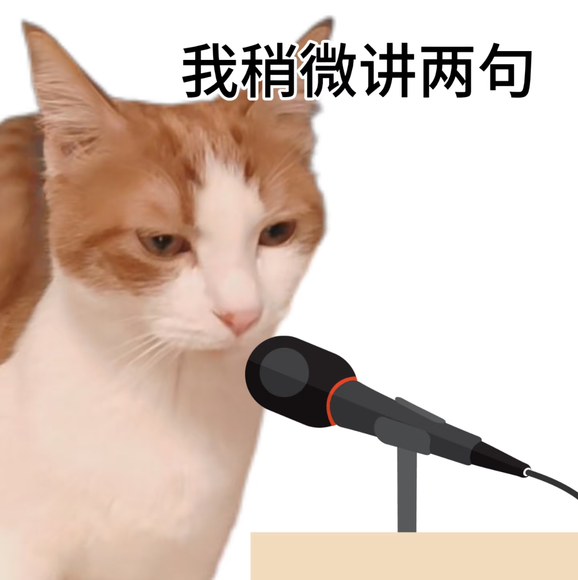114305zcbq428u5zga6oog.jpeg