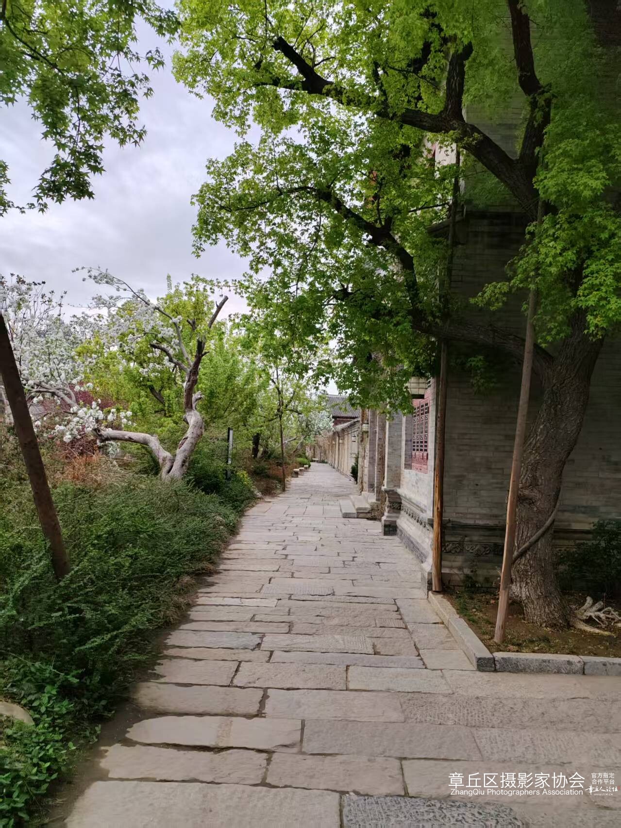 微信图片_20250507152601.jpg