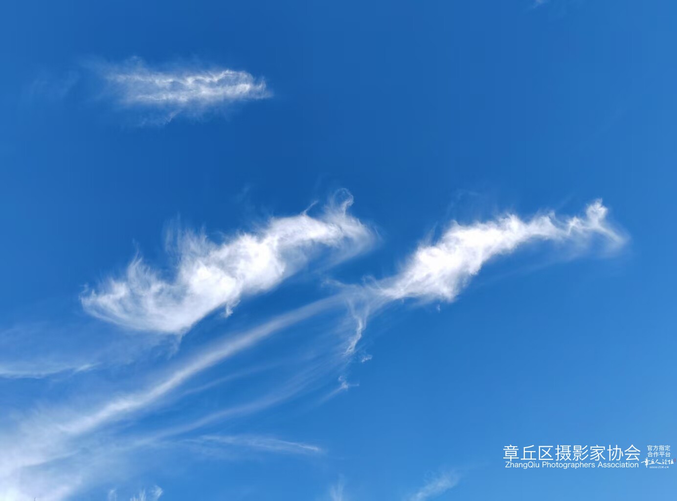 微信图片_202505071525561.jpg