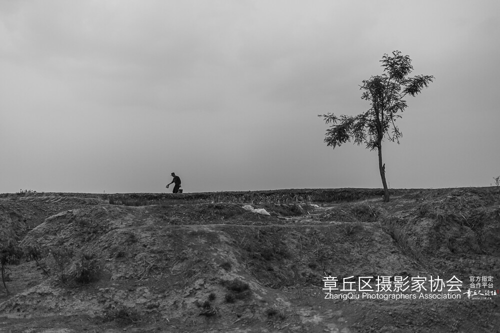 被楼人 (1).jpg