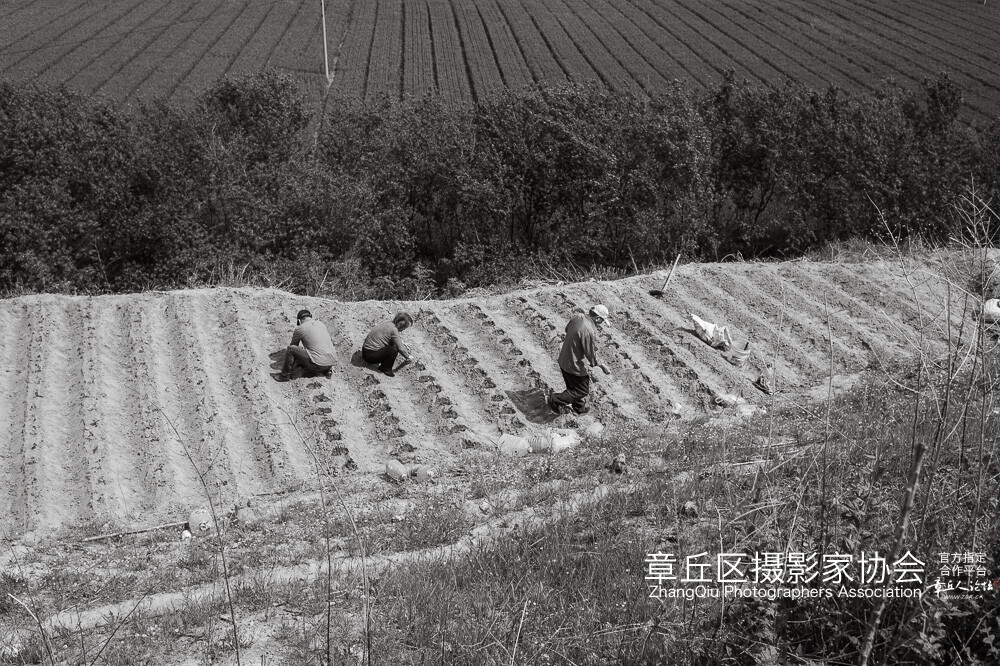 被楼人 (7).jpg