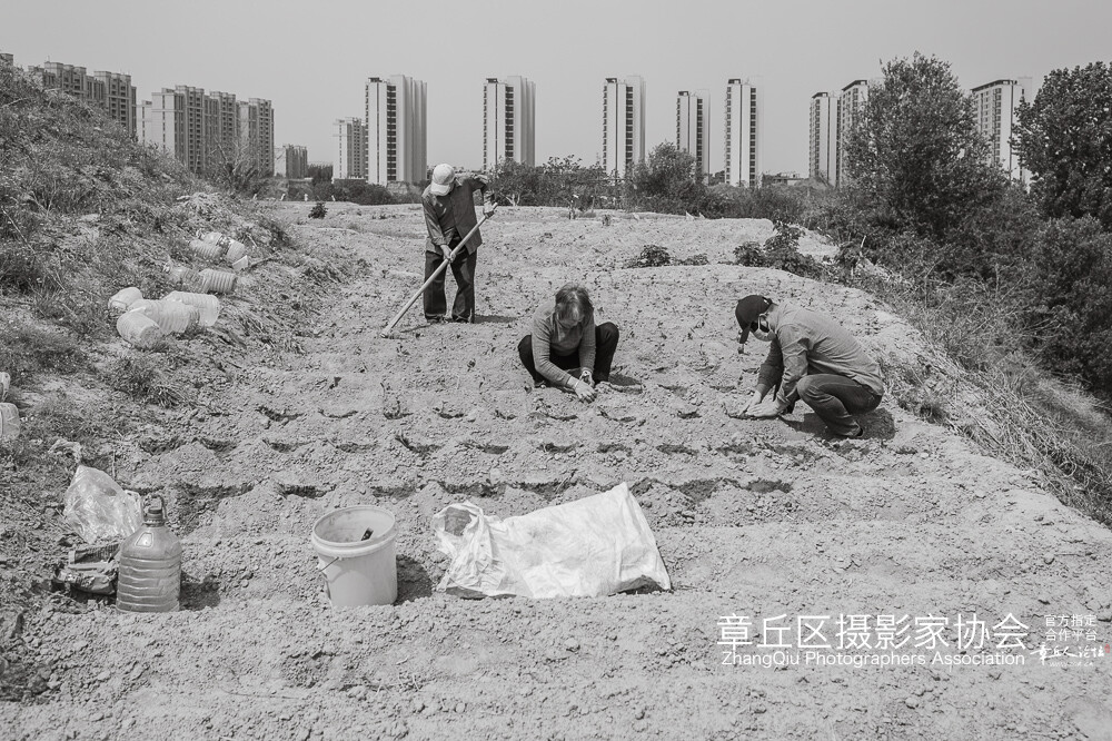 被楼人 (8).jpg