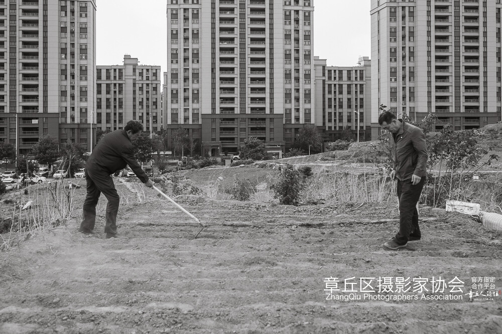 被楼人 (16).jpg