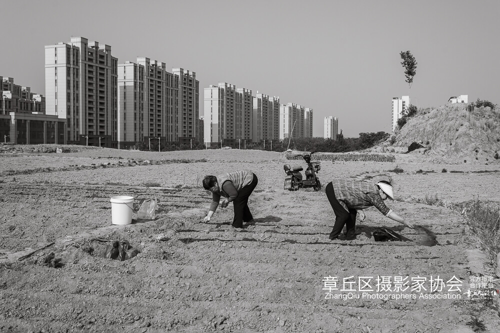 被楼人 (17).jpg