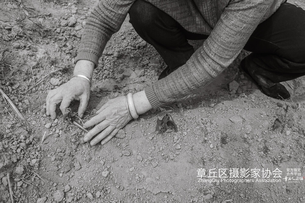 被楼人 (18).jpg