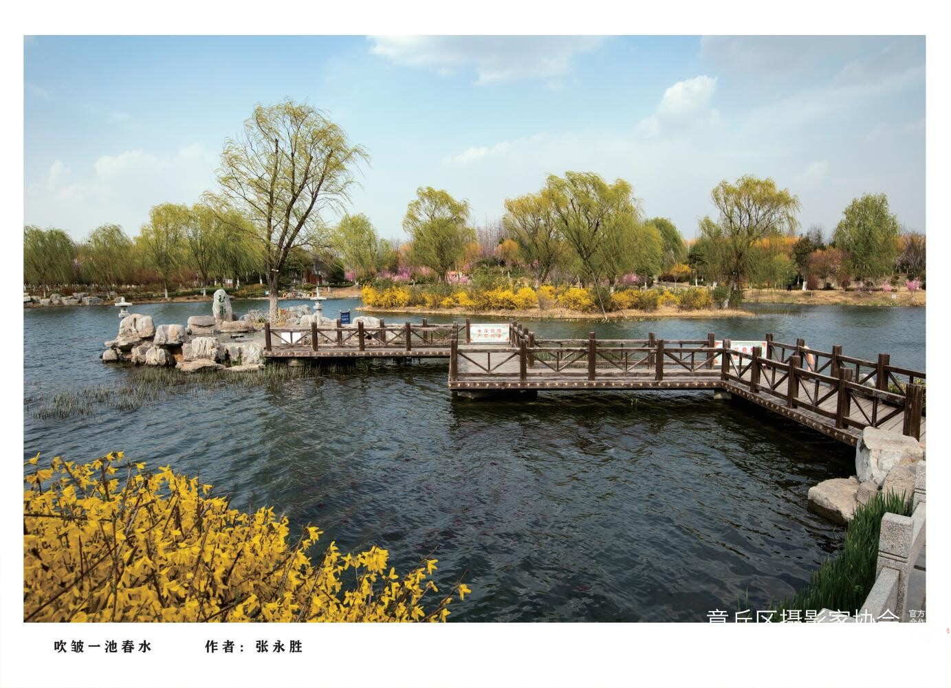 章丘城市公园摄影作品图集（2025）_07.jpg