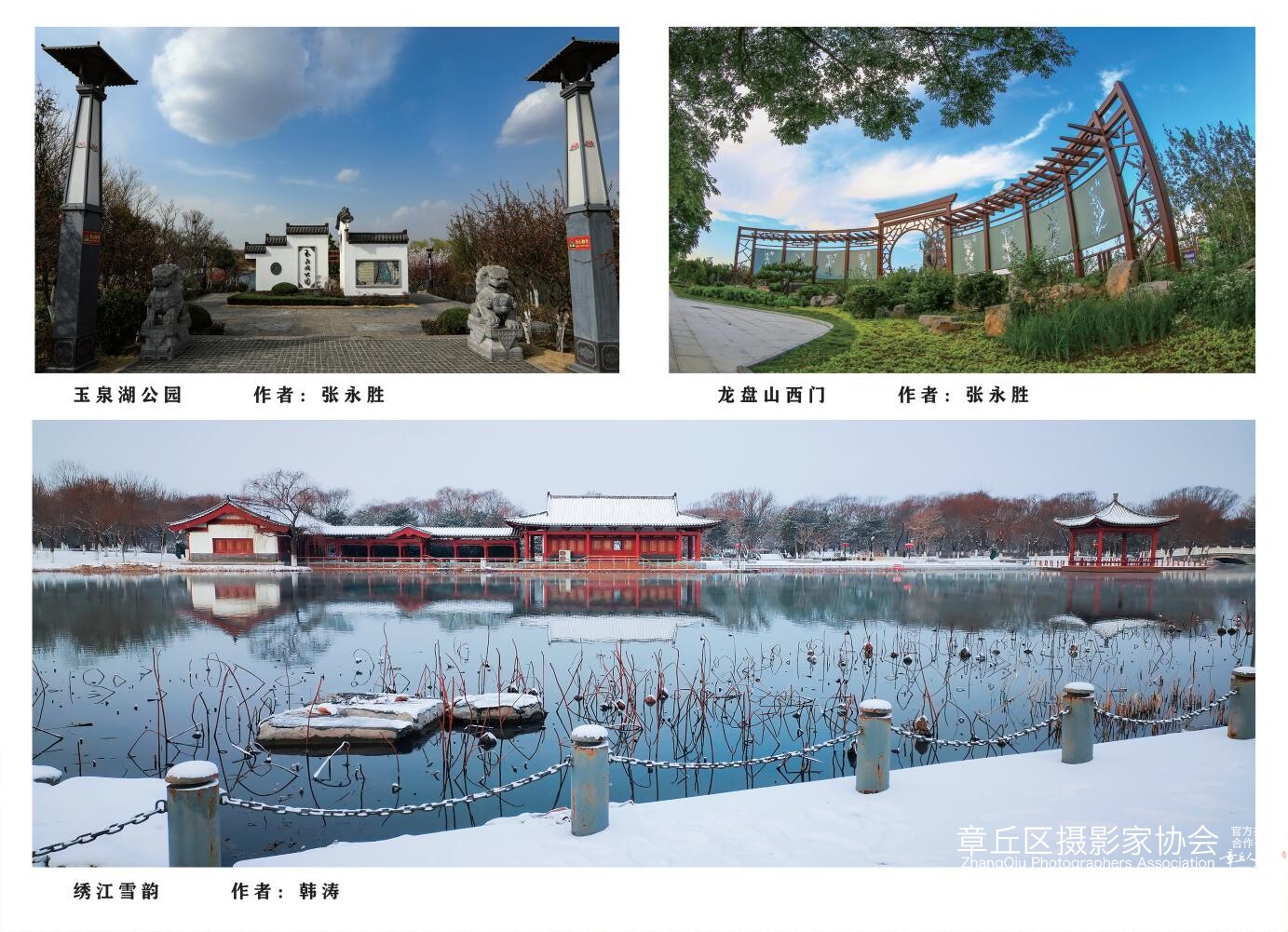 章丘城市公园摄影作品图集（2025）_06.jpg
