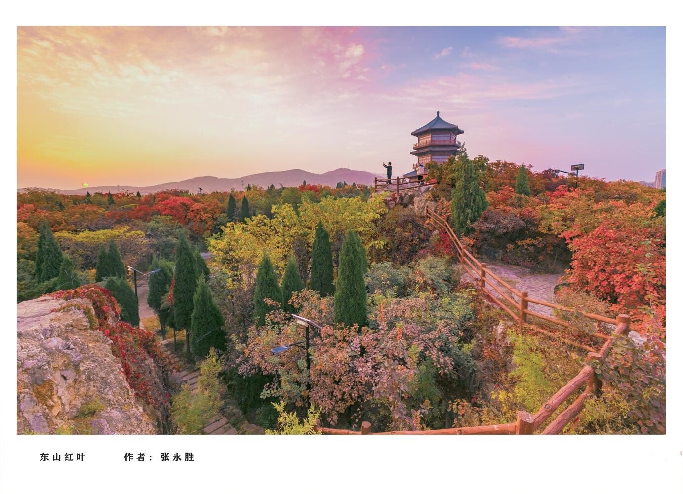 章丘城市公园摄影作品图集（2025）_10.jpg