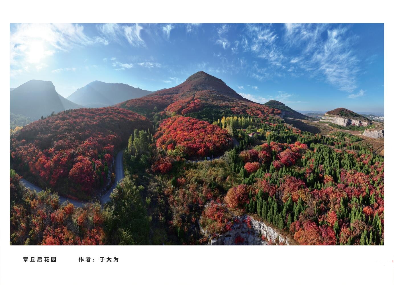 章丘城市公园摄影作品图集（2025）_11.jpg