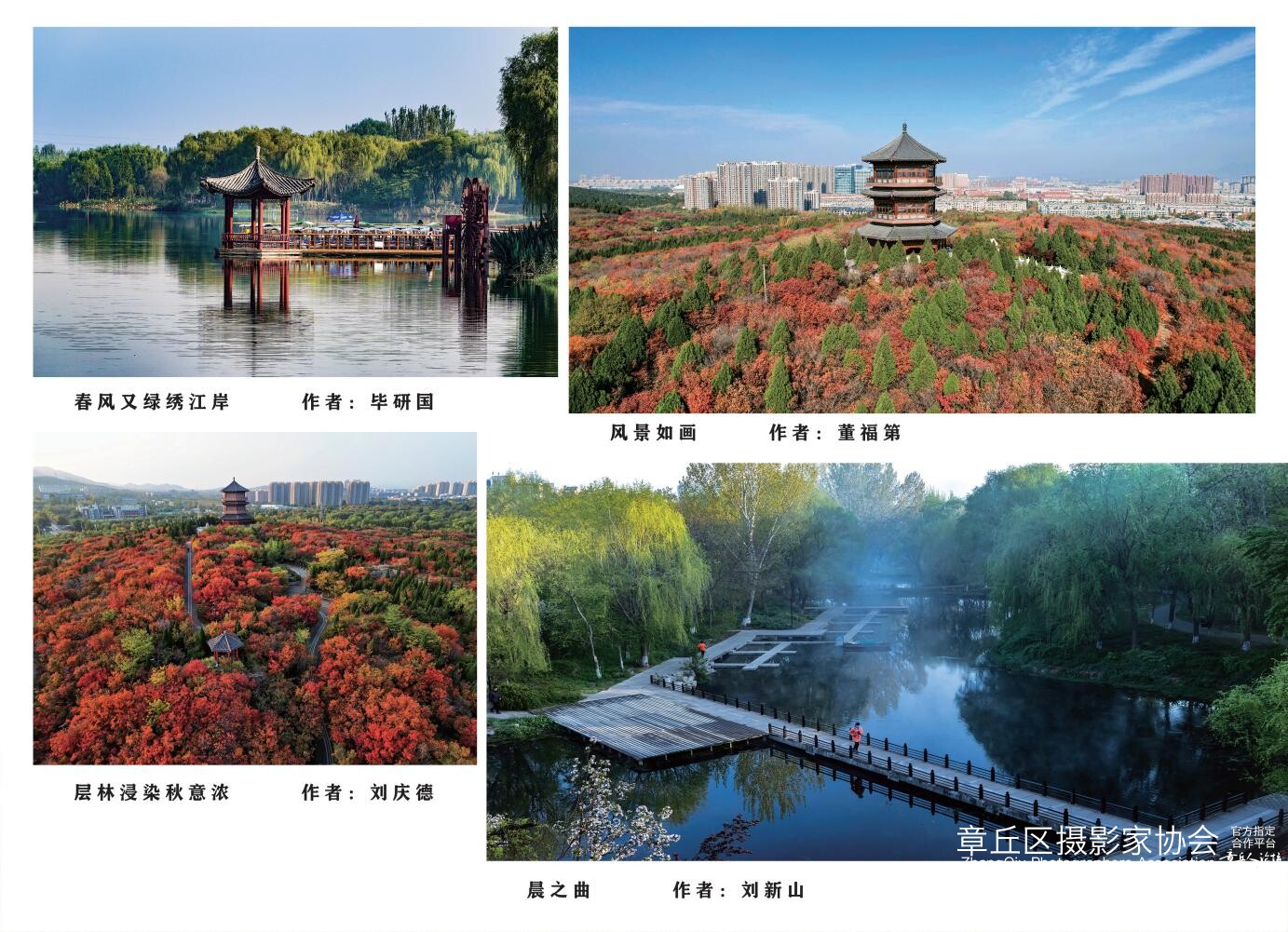 章丘城市公园摄影作品图集（2025）_14.jpg