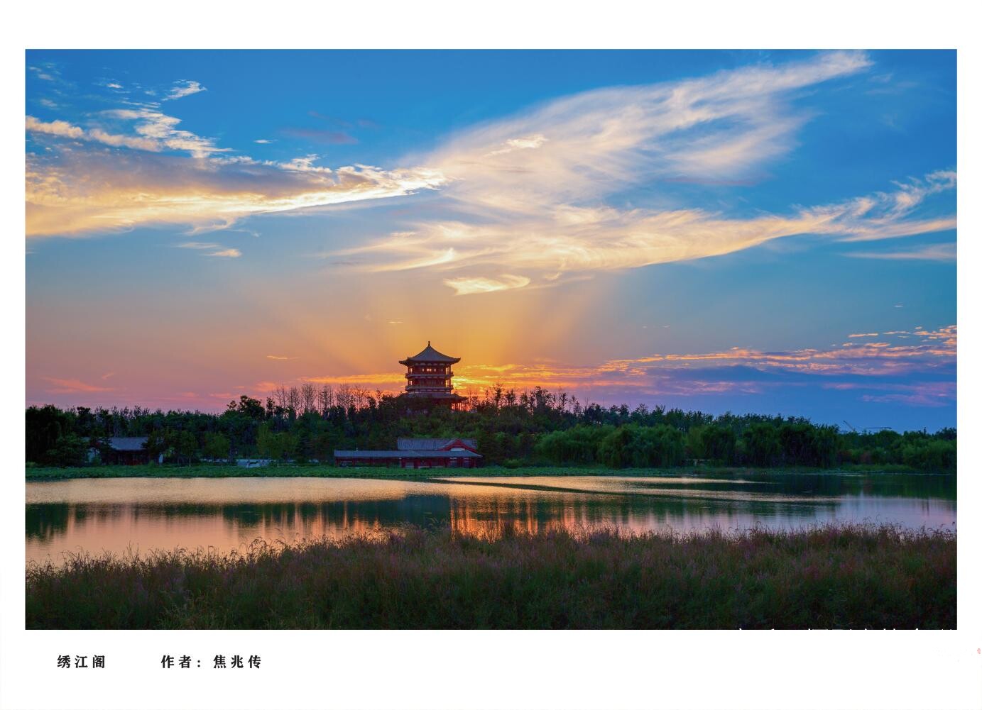 章丘城市公园摄影作品图集（2025）_17.jpg