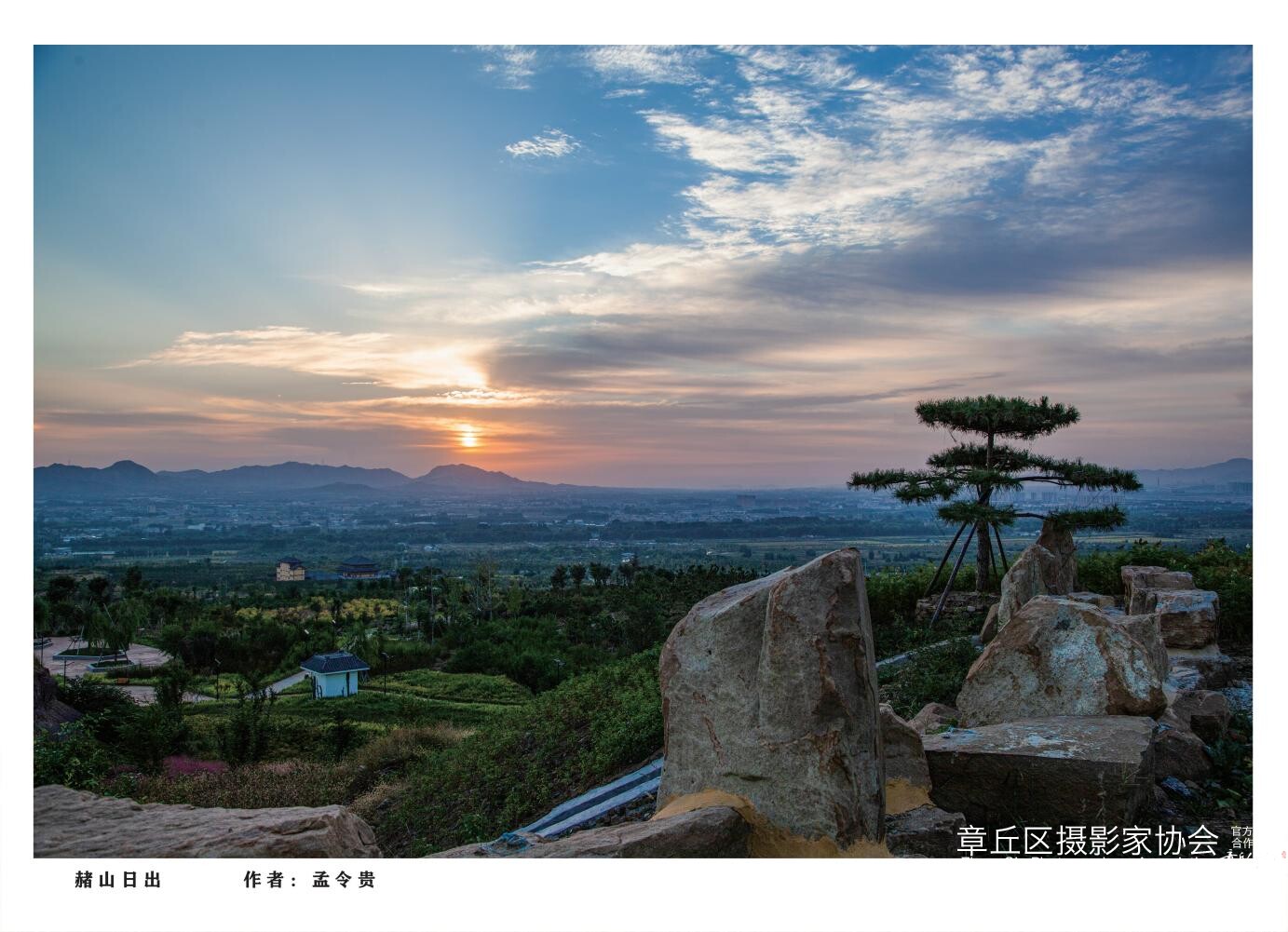 章丘城市公园摄影作品图集（2025）_23.jpg