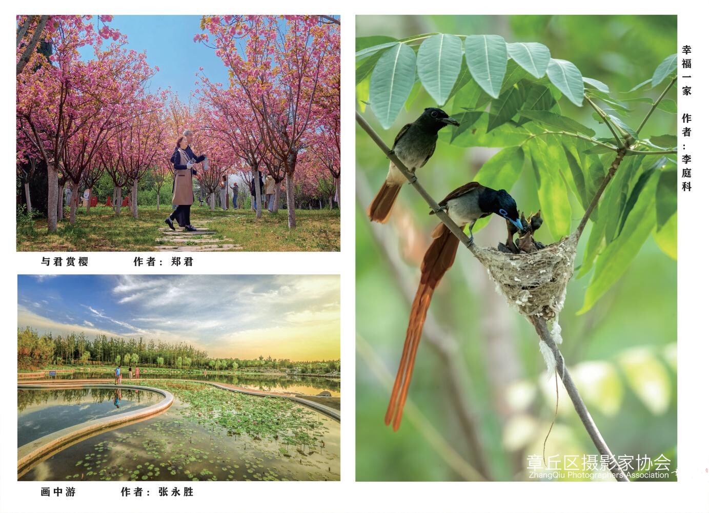章丘城市公园摄影作品图集（2025）_22.jpg