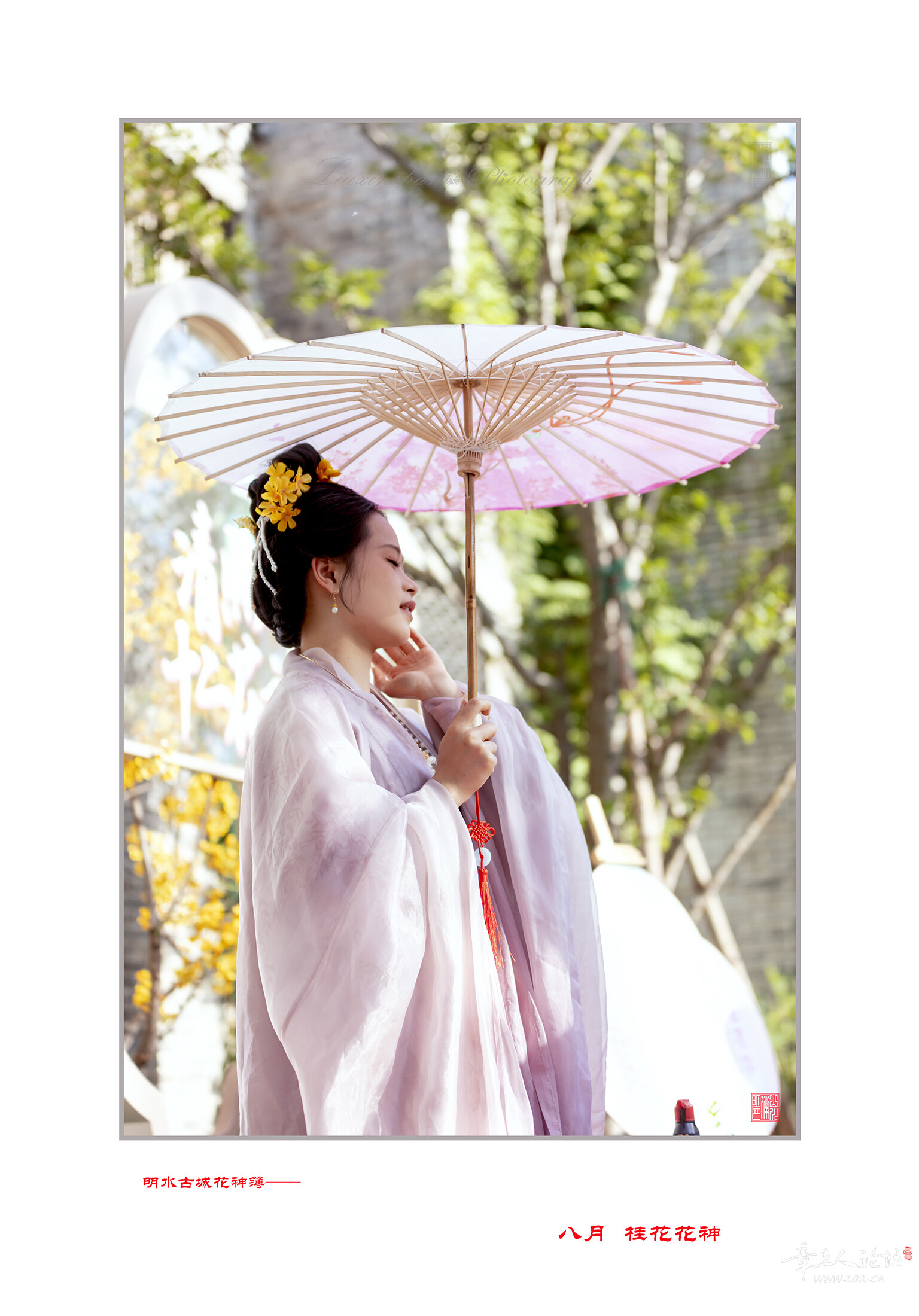 8月  桂  花 .jpg