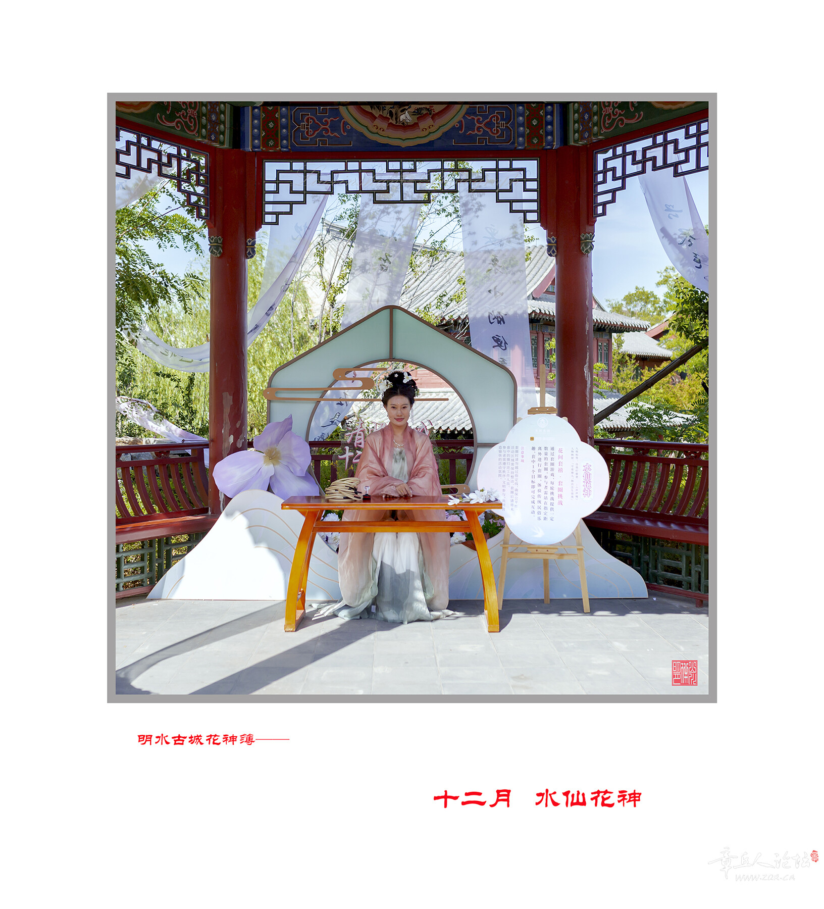 12月  水仙花.jpg
