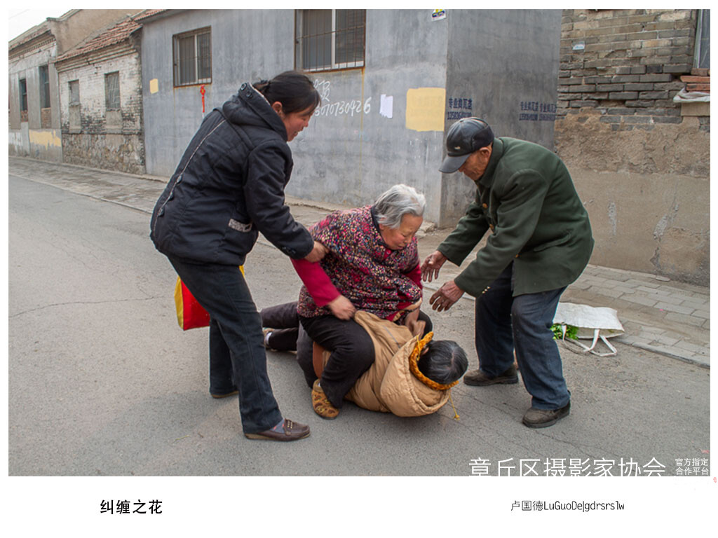 纠缠之花.jpg
