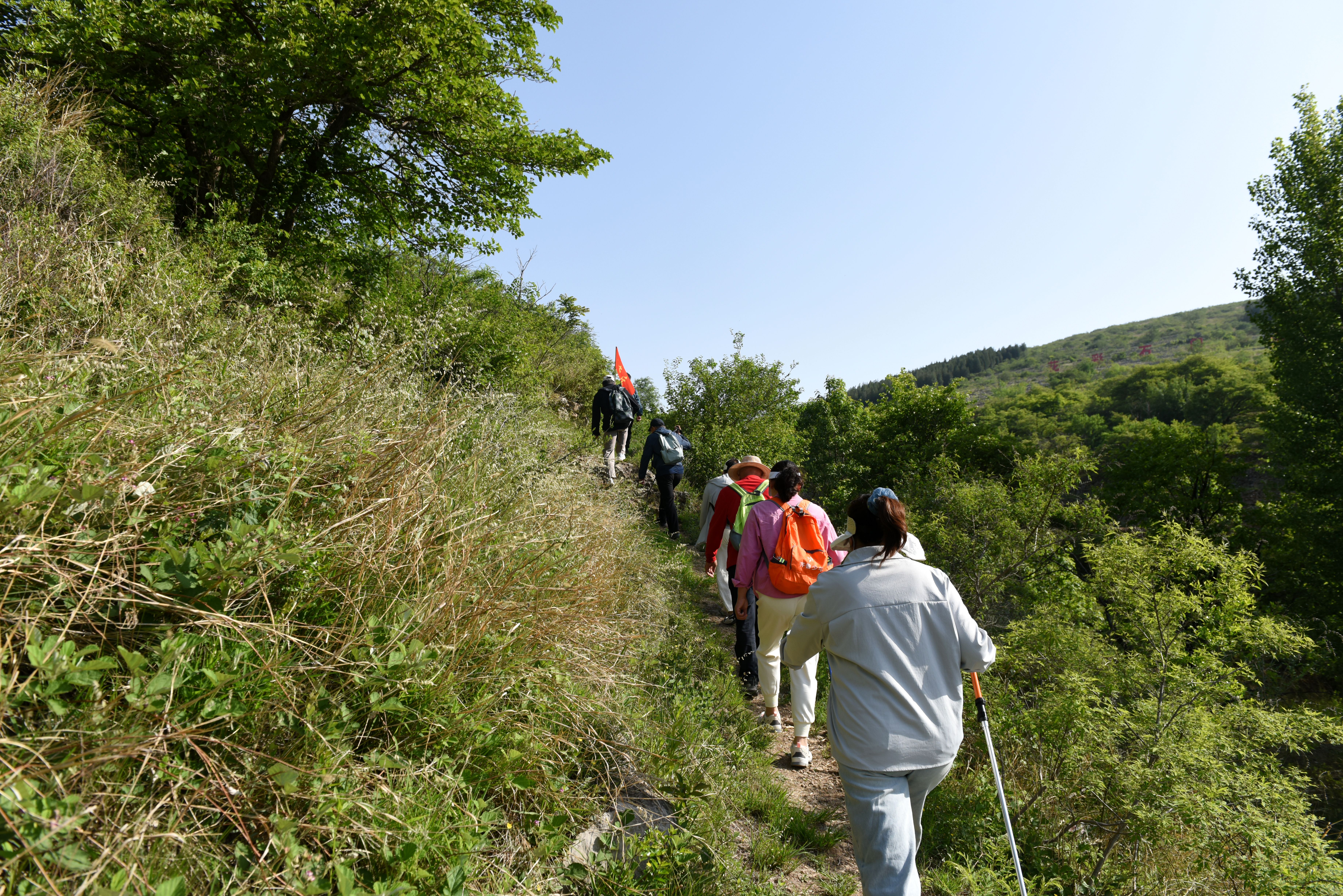DSC_0384.JPG
