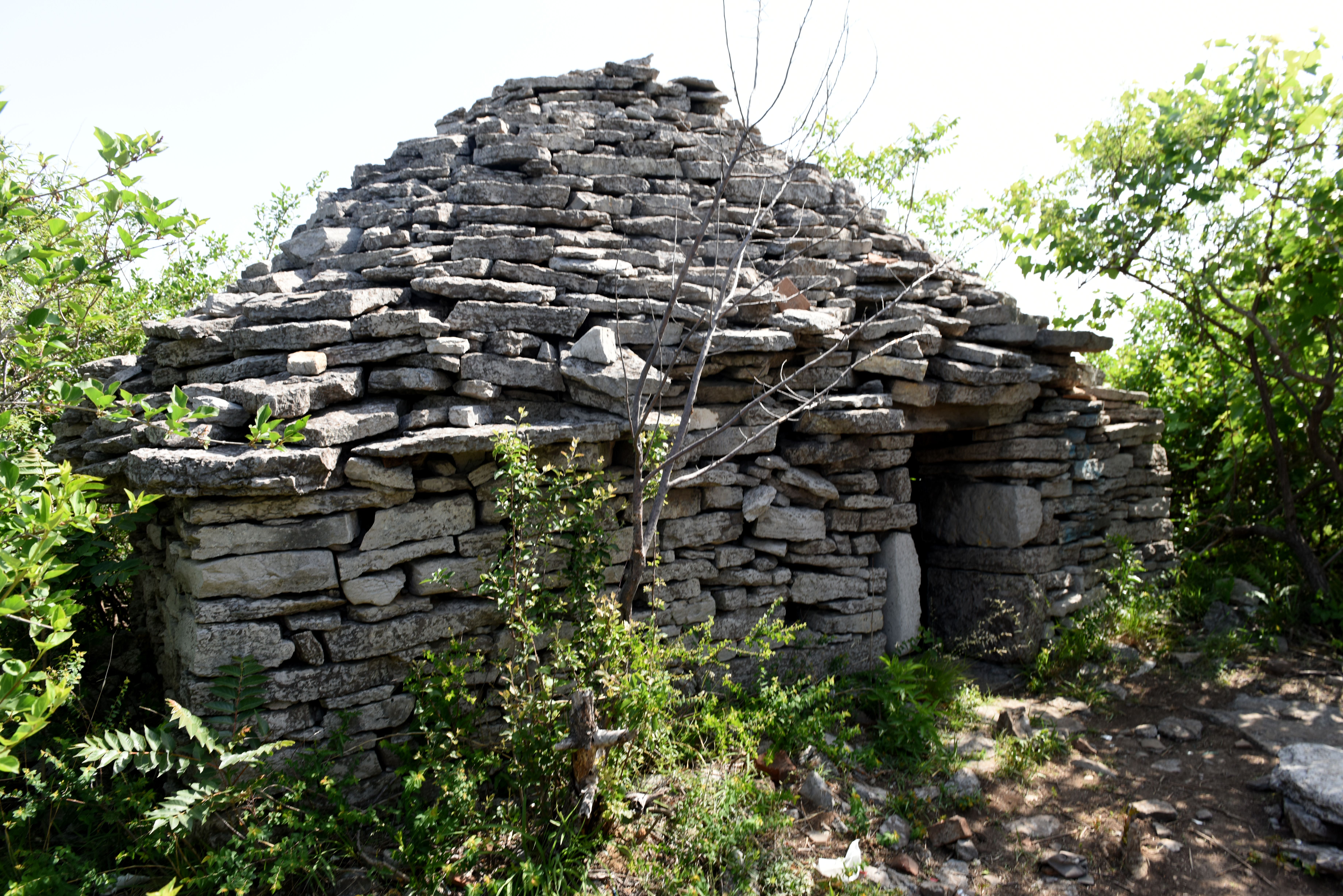 DSC_0489.JPG
