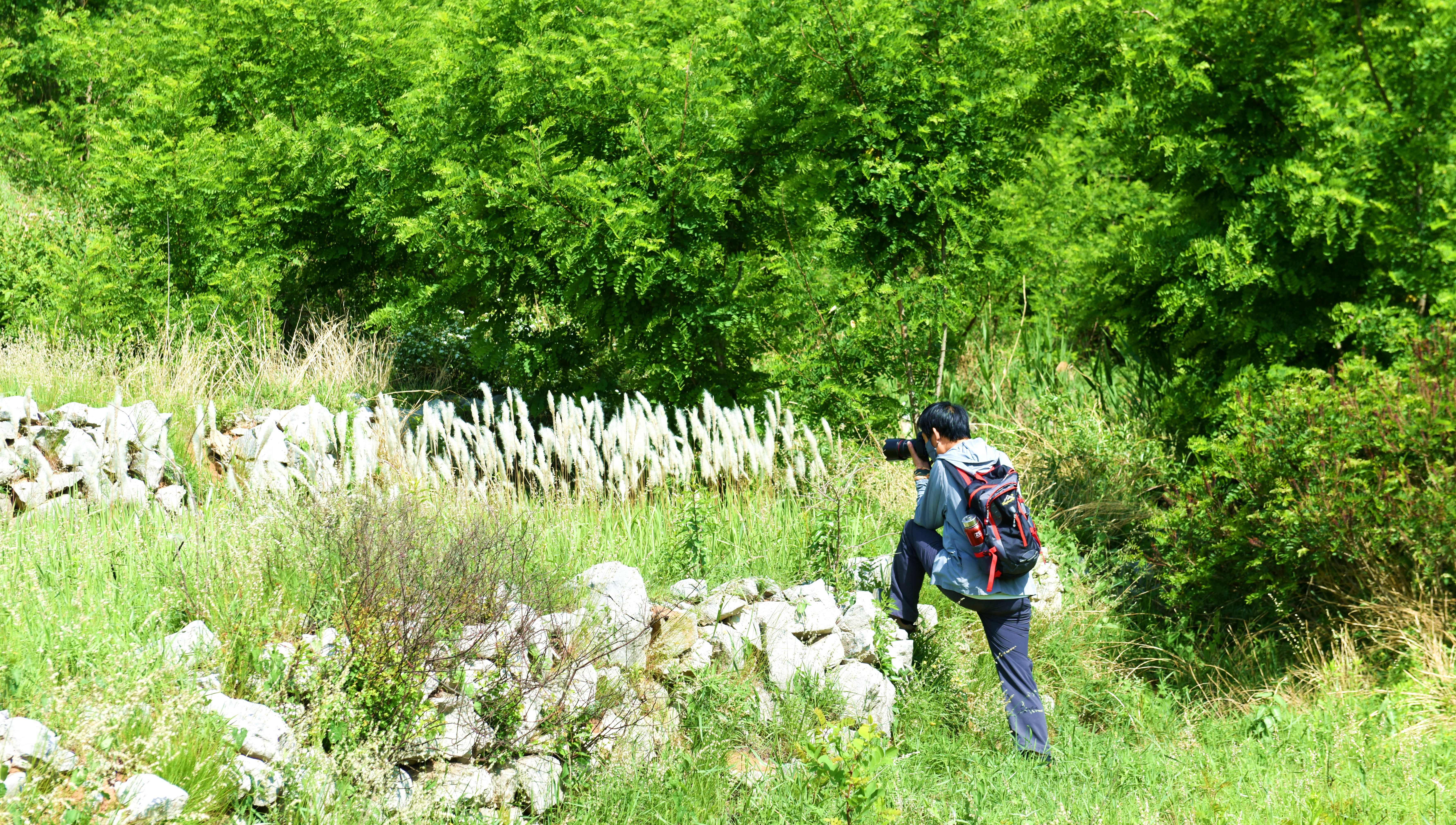 DSC_0510.JPG