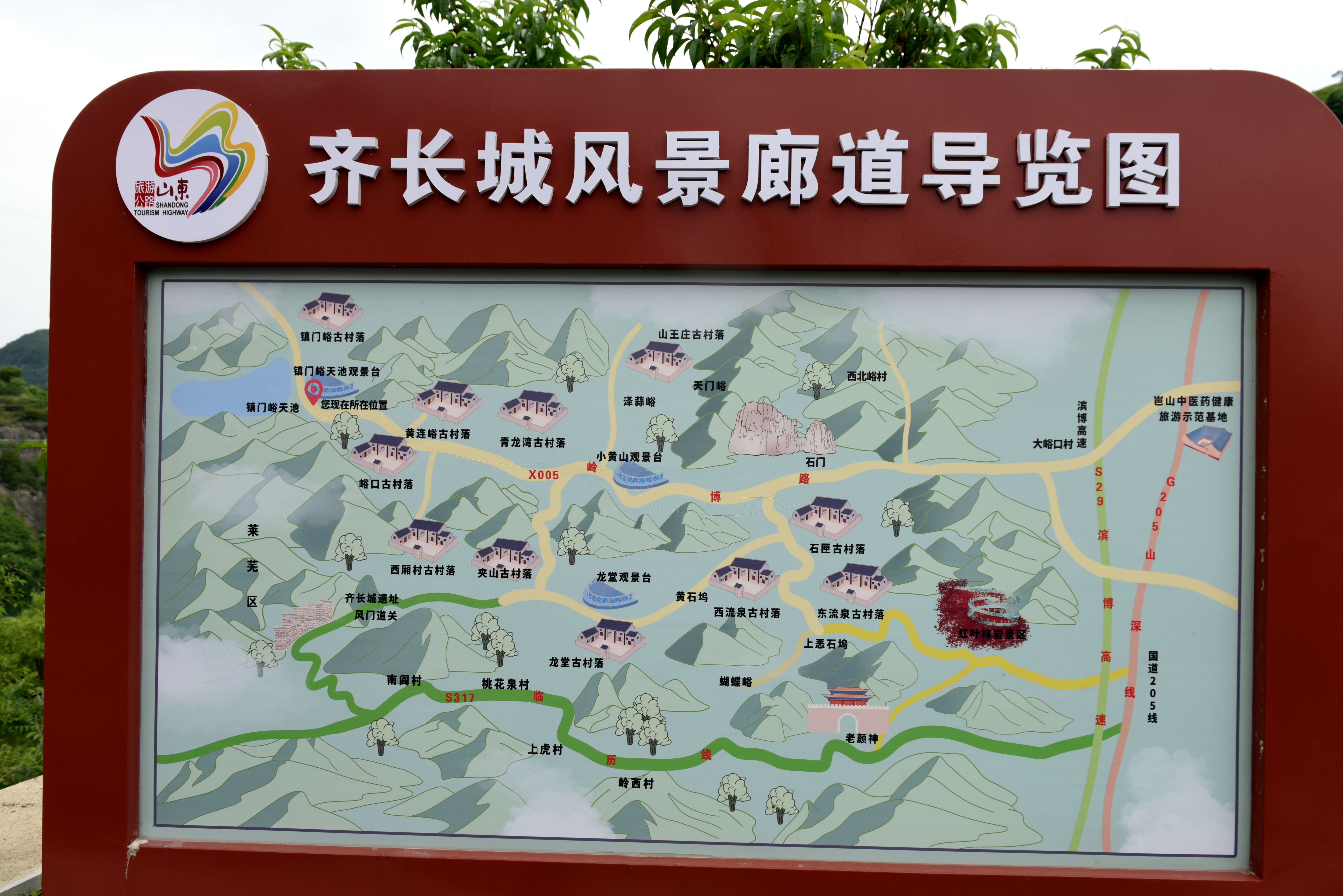 DSC_0817.JPG