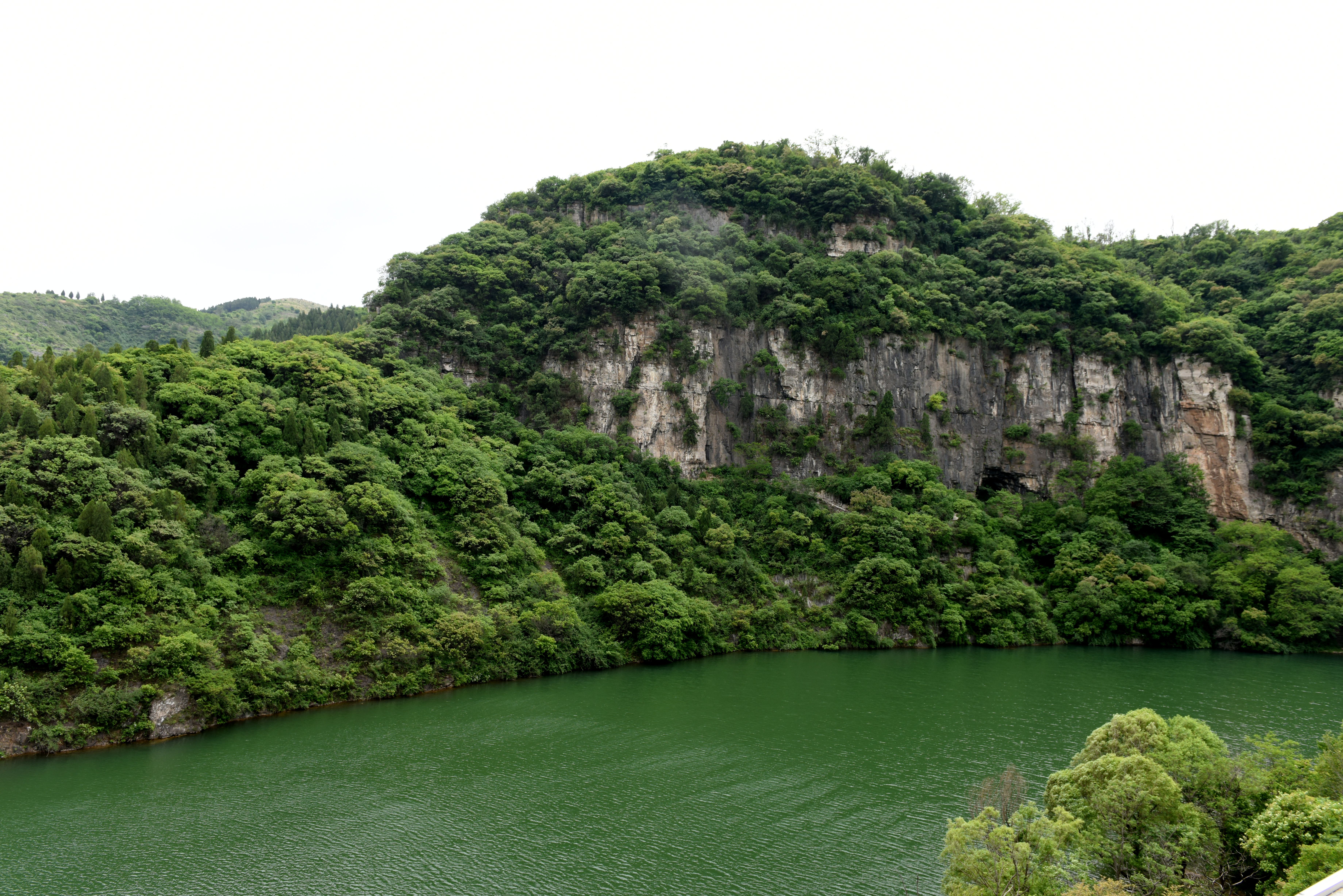 DSC_0818.JPG